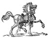 Horse. /Nwoodcut, 1584, By Jost Amman. Poster Print by Granger Collection - Item # VARGRC0035110