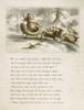 Night Before Christmas. /N'Merry Christmas To All, And To All A Good Night!' Illustration By Felix O.C. Darley For An 1862 Edition Of Clement Clarke Moore'S 'A Visit From Saint Nicholas.' Poster Print by Granger Collection - Item # VARGRC0095563