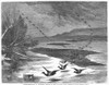 Duck Hunting, 1871. /Nduck Shooting In Winter. Wood Engraving, American, 1871. Poster Print by Granger Collection - Item # VARGRC0096208