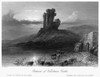 Ireland: Kilcolman Castle. /Nview Of The Ruins Of Kilcolman Castle On The River Awbeg, County Cork, Ireland. Steel Engraving, English, C1840, After William Henry Bartlett. Poster Print by Granger Collection - Item # VARGRC0095270