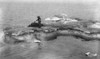 Alaska: Walrus Hunting. /Nthree Eskimo Men Standing On An Iceberg, Cutting Off The Head Of A Walrus At Ice Cape, Alaska. Photograph, C1897. Poster Print by Granger Collection - Item # VARGRC0121589