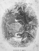 Africa: Leopard. /Nmoonlight In Africa. Line Engraving, 19Th Century. Poster Print by Granger Collection - Item # VARGRC0100929
