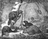 Beavers. /Namerican Beavers (Castor Canadensis). Wood Engraving, American, 1833. Poster Print by Granger Collection - Item # VARGRC0028657
