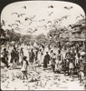 India: Jaipur, C1907. /N'Myriads Of Birds And Throngs Of Natives - A Street Scene, Jaipur, India.' Stereograph, C1907. Poster Print by Granger Collection - Item # VARGRC0323155