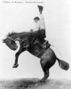 Wyoming: Cowboy, C1911. /N'O'Donnell On Whirlwind, Cheyenne Frontier Days.' Cowboy On A Bucking Bronco In Cheyenne, Wyoming. Photograph, C1911. Poster Print by Granger Collection - Item # VARGRC0107165