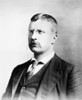 Theodore Roosevelt /N(1858-1919). 26Th President Of The United States. Photographed In 1898. Poster Print by Granger Collection - Item # VARGRC0014248