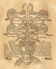 Cabalistic Symbol. /Ndiagram Of A Sefirotic Tree By A Disciple Of The Hebrew Mystic And Cabalist Isaac Ben Solomon Ashkenazi Luria (1534-1572). Poster Print by Granger Collection - Item # VARGRC0033744