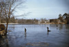 Ice Skating, C1940./Npeople Ice Skating, With One Person Who Has Fallen, On A Lake In The Vicinity Of Brockton, Massachusetts. Photographed By Jack Delano, C1940. Poster Print by Granger Collection - Item # VARGRC0118651