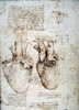 Leonardo: Heart, C1512. /Nstudies Of An Ox Heart By Leonardo Da Vinci, C1512, Pen And Ink. Poster Print by Granger Collection - Item # VARGRC0033669