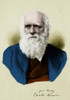 Charles Darwin, English Naturalist Poster Print by Science Source - Item # VARSCIJC3250