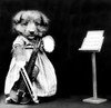 The Fiddler, 1914 Poster Print by Science Source - Item # VARSCIJB6430
