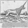 Unicorn. /Nwoodcut, French, 16Th Century. Poster Print by Granger Collection - Item # VARGRC0064643