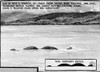 Loch Ness Monster, 1934. /Nartist'S Rendition Of The Loch Ness Monster After A Sketch By A Witness, 1934. ('Seen By Miss A. Simpson 40 Yards From Shore Near Aultsave In June 1933.') Poster Print by Granger Collection - Item # VARGRC0000480