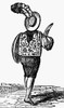 Peru: Bull Fighter. /Na Bullfighter Of The Spanish Colonial Era. Wood Engraving, American, C1850. Poster Print by Granger Collection - Item # VARGRC0094836