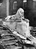 San Francisco Earthquake. /Na Lion Statue Intact And Surrounded By Rubble, Following The Earthquake Of 18 April 1906. Photograph By Arnold Genthe, April 1906. Poster Print by Granger Collection - Item # VARGRC0119495