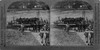 World War I: Cavalry. /Nbritish Royal Engineers Transporting Cavalry Horses Across A River In France. Stereograph, C1916. Poster Print by Granger Collection - Item # VARGRC0325479