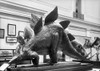 Dinosaur Exhibit, 1917. /Na Mounted Stegosaurus Specimen On Exhibit At The Smithsonian Institution In Washington, D.C., 1917. Poster Print by Granger Collection - Item # VARGRC0127026