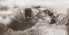 World War I: British Tank. /Na British Tank Spanning An Enemy Trench During A World War I Battle. Photograph, 1914-1918. Poster Print by Granger Collection - Item # VARGRC0407940