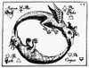 Ouroboros, 1760. /Nouroboros As A Crowned Double-Dragon, Symbolizing The Four Elements. Line Engraving From Abraham Eleazar'S 'Uraltes Chymisches Werk,' Leipzig, Germanmy, 1760. Poster Print by Granger Collection - Item # VARGRC0036456