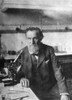 Elie Metchnikoff (1845-1916). /Nrussian Zoologist And Bacteriologist. Poster Print by Granger Collection - Item # VARGRC0017378