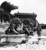Peking: Forbidden City. /Nporcelain Statues Of Dog-Like Gods In The Court Of The Imperial Palace At The Forbidden City In Peking (Now Beijing), China. Stereograph, C1901. Poster Print by Granger Collection - Item # VARGRC0116380