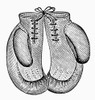 Boxing Gloves, C1900. /Nline Engraving, C1900. Poster Print by Granger Collection - Item # VARGRC0080242