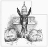 Cartoon: Panama Canal. /Namerican Cartoon, C1900, On The Debate Over Whether To Build A Canal Through Panama Or Nicaragua. Poster Print by Granger Collection - Item # VARGRC0091427