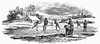 Ice Skating. /Nwood Engraving By Thomas Bewick (1753-1828). Poster Print by Granger Collection - Item # VARGRC0054557