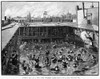 Swimming, 1882. /N'Women'S Day At A New York Swimming Bath.' Wood Engraving, American. Poster Print by Granger Collection - Item # VARGRC0017923