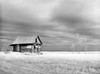 Farmhouse, 1940. /Nan Abandoned Farmhouse In Ward County, North Dakota. Photograph By John Vachon, 1940. Poster Print by Granger Collection - Item # VARGRC0041242