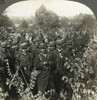 World War I: Aisne, C1914. /Nfrench Infantry Troops Resting During A March Along The Aisne River In An Attempt To Block German Advancement. Stereograph, C1914. Poster Print by Granger Collection - Item # VARGRC0325735