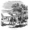 South Africa: Farmhouse. /Na Boer Farmhouse In South Africa. Engraving, Mid 19Th Century. Poster Print by Granger Collection - Item # VARGRC0258995