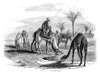 Egypt: Desert Scene. /N'Village On The Borders Of The Desert' In Egypt. Wood Engraving, English, 1857. Poster Print by Granger Collection - Item # VARGRC0268030