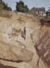 Georgia: Erosion, 1941. /Na Farmer Inspecting Eroded Farmland In Greene County, Georgia. Photograph By Jack Delano, 1941. Poster Print by Granger Collection - Item # VARGRC0107965