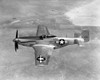 Wwii: Mustang Fighter. /Nan American P-51 Mustang Fighter Plane. Poster Print by Granger Collection - Item # VARGRC0017739