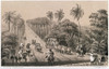 St. Croix: Road, 1863. /Nscene On A Road Lined With Palm Trees On The Island Of St. Croix In The Danish West Indies. Lithograph, Danish, 1863. Poster Print by Granger Collection - Item # VARGRC0118978