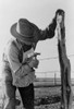 Texas: Barbed Wire, 1939. /Na Farmer Putting Up A Barbed Wire Fence On The Milton Farm In El Indio, Texas. Photograph By Russell Lee, March 1939. Poster Print by Granger Collection - Item # VARGRC0122317
