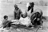 New Mexico: Livestock. /Nskinning A Slaughtered Hog, Chamisal, New Mexico. Photograph By Russell Lee, July 1940. Poster Print by Granger Collection - Item # VARGRC0121428