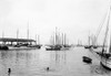 Key West: Harbor, C1895. /Na Fleet Of Boats Owned By Sponge Divers In The Harbor At Key West, Florida. Photograph, C1895. Poster Print by Granger Collection - Item # VARGRC0131104