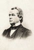 Andrew Johnson (1808-1875). /N17Th President Of The United States. Poster Print by Granger Collection - Item # VARGRC0089865