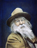 Walt Whitman (1819-1892). /Noil Over A Photograph, 1887. Poster Print by Granger Collection - Item # VARGRC0009465