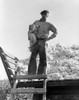 Cotton Picker, 1936. /Na Cotton Picker Standing On A Truck Filled With Cotton, Southern San Joaquin Valley, California. Photograph By Dorothea Lange, November 1938. Poster Print by Granger Collection - Item # VARGRC0123479