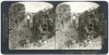 Spain: Ronda, C1908. /N'Imposing Gorge Of The Guadalev_n And The New Bridge, Ronda, Spain.' Stereograph, C1908. Poster Print by Granger Collection - Item # VARGRC0324147