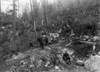 Alaska: Prospectors, C1897. /Na Group Of Prospectors With Their Pack Train Of Horses Making Their Way Through Dyea Canyon, Alaska. Photograph, C1897. Poster Print by Granger Collection - Item # VARGRC0116194
