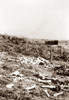 Little Bighorn, 1877. /Nbattlefield Of Little Bighorn, With Grave Markers And Horse Bones. Poster Print by Granger Collection - Item # VARGRC0061051