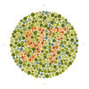 Ishihara Color Blindness Test Poster Print by Science Source - Item # VARSCIJA0018