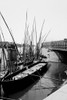 Egypt: Cairo. /Nsailboats Passing Through The Open Great Bridge That Spans The Nile River In Cairo, Egypt. Stereograph, Early 20Th Century. Poster Print by Granger Collection - Item # VARGRC0120175