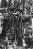 St. Louis World'S Fair. /Na Group Of Lumberjacks Posing On A Huge Stump Of A Fir Tree Which Was Displayed At The St. Louis World'S Fair, Missouri. Photographed In 1904. Poster Print by Granger Collection - Item # VARGRC0120050