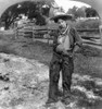 Cowgirl, C1906. /Na Cowgirl On A Ranch In Western America. Stereograph, C1906. Poster Print by Granger Collection - Item # VARGRC0124981