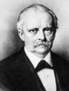 Hermann Von Helmholtz /N(1821-1894). German Physicist, Anatomist, And Physiologist. Poster Print by Granger Collection - Item # VARGRC0015092